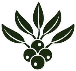 Stylized Olive Branch with Berries Dark Green Silhouette, Leaf, Berries, Nature, Natural, Botanical