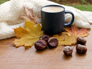Cup of hot coffee with autumn yellow leaves, chestnuts and white blanket on wooden table next to the window