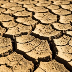 A close up of a dry, cracked ground