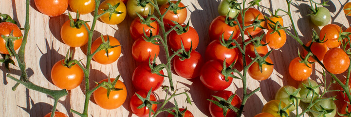Vibrant sunlit cherry tomatoes dance on rustic table, evoking Mediterranean harvest and Midsummer Day's culinary celebration