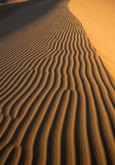 A sand dune in the middle of a desert at sunset