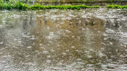 Drizzle dances upon a reflective pavement canvas, evoking monsoon musings and the tranquility of Quiet Day  Japan observance