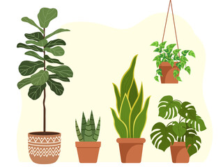 houseplants set house decor plants succulents indoor exotic flowers stems leaves monstera ficus pothos yucca dracaena cacti snake plant home interior illustration