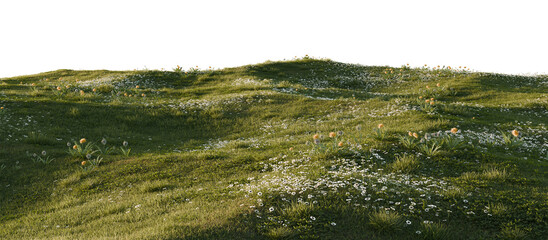 Fototapeta premium Hills with grass on a transparent background. 3D rendering. 