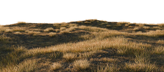pine forest, green trees, blue sky, clouds, nature landscape, coniferous woodland, hillside vegetation, outdoor scenery, environmental backdrop, tranquil nature view, lush greenery, forested hill, nat