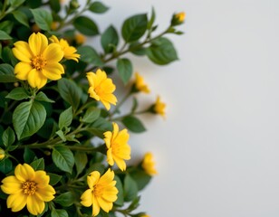 A bouquet of fresh yellow daisies in full bloom, set against a blurred background that suggests a window frame.