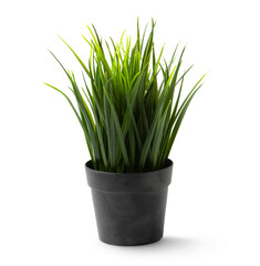 Artificial plant in a pot isolated on transparent background