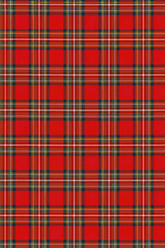 Plaid christmas pattern