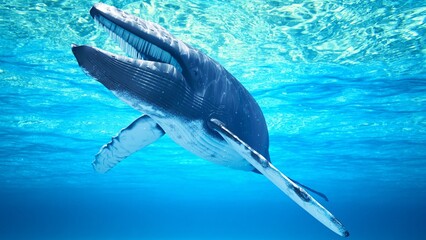 Wild Whale Exploring the Deep Blue Ocean © sgurung