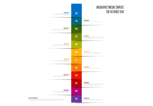 Infographic Timeline Template for the Whole Year - Modern Design