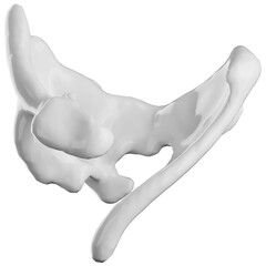 Milk Splash Realistic Effect