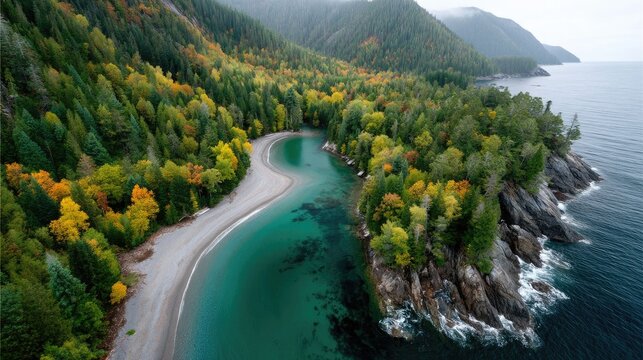 Aerial View Of A Lush Autumn Forest Meeting The Turquoise Ocean On A Cloudy Day With Rocky Shoreline And Winding Beach