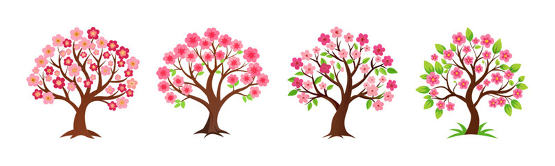 Four beautiful flowering trees in different stages of bloom