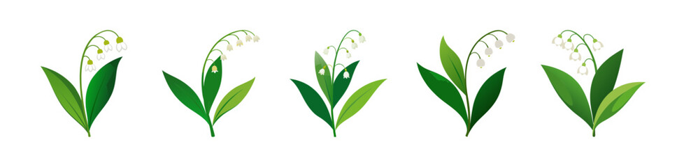 Fototapeta premium Delicate lily of the valley flowers with green leaves isolated