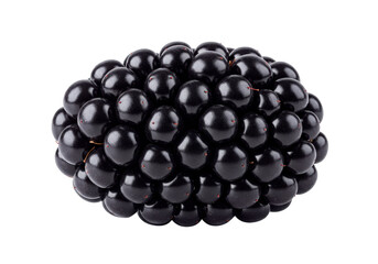 Isolated cluster of juicy black berries, fresh ingredient for cooking and healthy eating