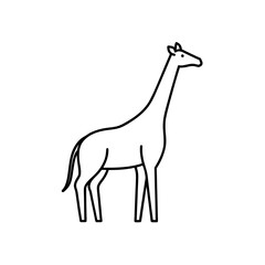 Giraffe outline simple drawing on transparent background
