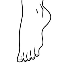 Bare Feet Barefoot Human