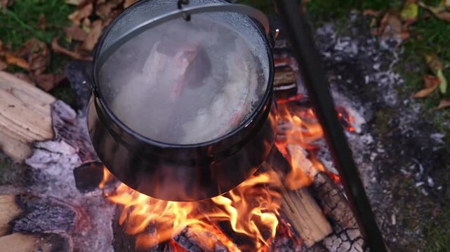 A black kettle with meat boiling over an open fire, surrounded by logs and glowing flames. Authentic outdoor cooking scene ideal for camping, survival, or rustic lifestyle footage.