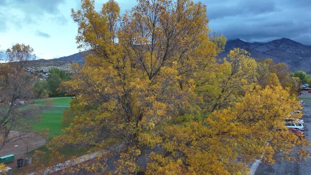 Rising Aerial Reveal Of Sports Fields In Burges Park Neighborhood And Mountains In Alpine, Utah, USA.