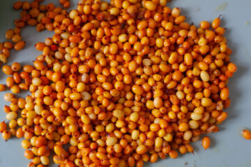 fresh sea buckthorn