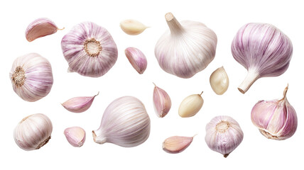 Organic raw garlic bulb and cloves isolated on a white background for cooking as a healthy spice and ingredient