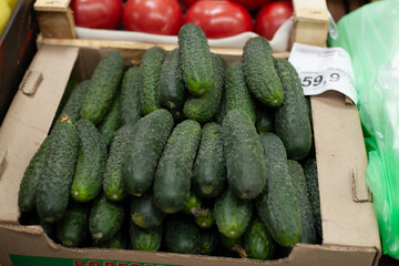 fresh green cucumbers in the store