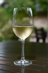 Chilled glass of white wine on wooden outdoor table in summer shade