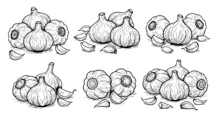 Garlic Still Life Illustration for Culinary Arts and Healthy Lifestyle Designs: Hand-Drawn Allium Sativum in Multiple Arrangements for Food Blog Graphics and Restaurant Menu Artwork, Herbs, Spices, Fa