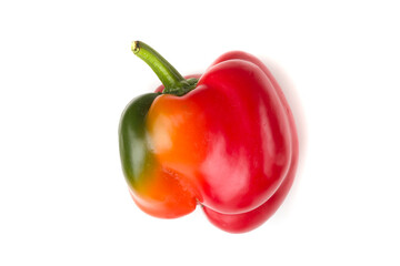 multicolored peppers on a white background