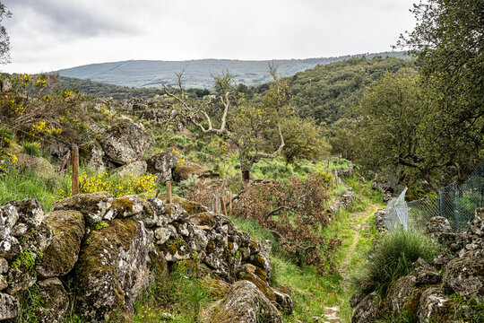 Hiking a walking route at Portalegre, Portugal. Percurso Pedestre de Galegos