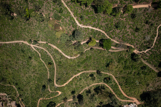 Aerial view of winding paths snaking through verdant hills, a tapestry of nature's artistry unfolds beneath the drone's gaze, Ella Rock beckons in the distance, Ella, Uva Province, Sri Lanka.