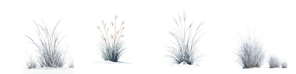 Watercolor Winter Grass Set: Snowy Botanical Illustration