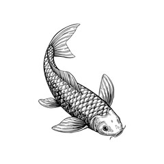 A hand-drawn sketch of a japanese koi fish swimming in a dynamic pose a symbol of strength and perseverance
