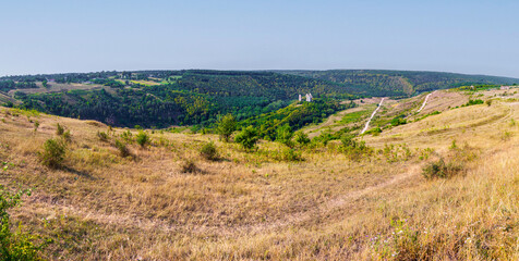 Obraz premium A high-angle landscape view of the Chervonohorod Castle ruins, located in Nyrkiv village, Ternopil Oblast, Ukraine. The two towers sit on a hill, surrounded by a dense green forest.