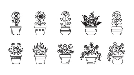 Collection of outline drawings of various potted houseplants and flowers silhouette