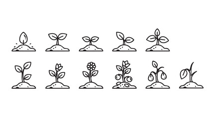 Growth stages seedling sprouts plant development icon set decorative elements isolated silhouette