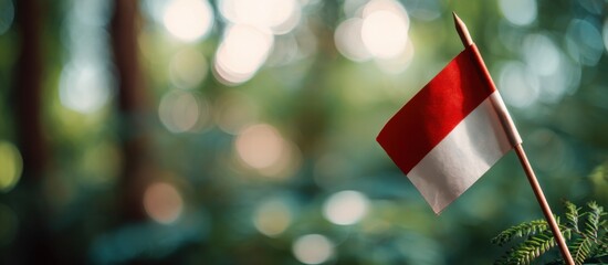 Red and white flag stands proudly in lush green forest during daylight hours