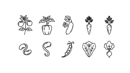 Hand drawn sketch style collection of fresh garden vegetables and herbs for healthy eating and cooking silhouette