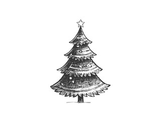 Christmas tree vector illustration, hand drawn pine tree sketch, vintage holiday design for festive greeting or decoration