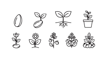 Stages of plant growth seed sprout seedling plant flower pots and mature vegetation icons silhouette