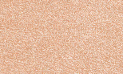 Grain & Grace – Natural Leather in Soft Beige. 