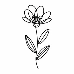 Minimal Line Floral Illustration