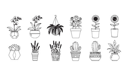 Collection of delicate line art potted plants and flowers for decoration silhouette