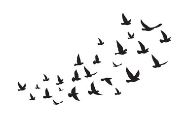 Flock of Flying Birds Silhouette Vector Freedom