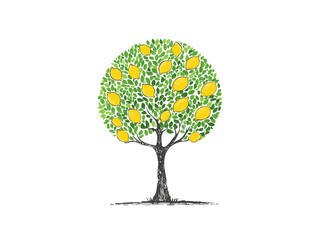 Lemon Tree Vector Illustration – Hand Drawn Citrus Fruit Tree Sketch