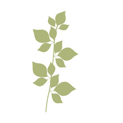 Minimalist Plant with green leaves hand-drawn art