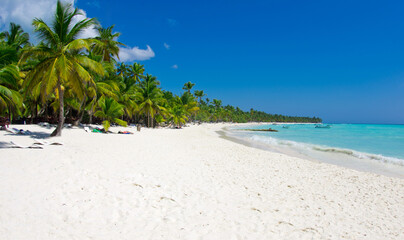 sea landscape.  palm trees on tropical beach