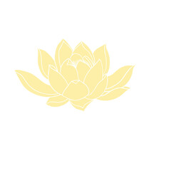 Lotus flower hand drawn golden lines