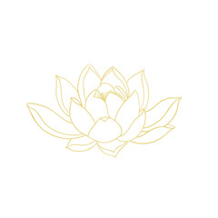 Lotus flower hand drawn golden lines
