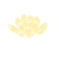 Lotus flower hand drawn golden lines